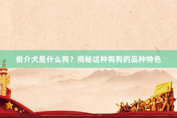 俊介犬是什么狗？揭秘这种狗狗的品种特色