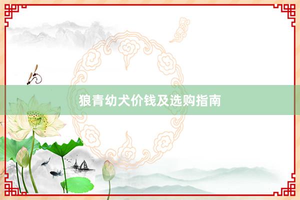 狼青幼犬价钱及选购指南