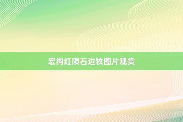 宏构红陨石边牧图片观赏