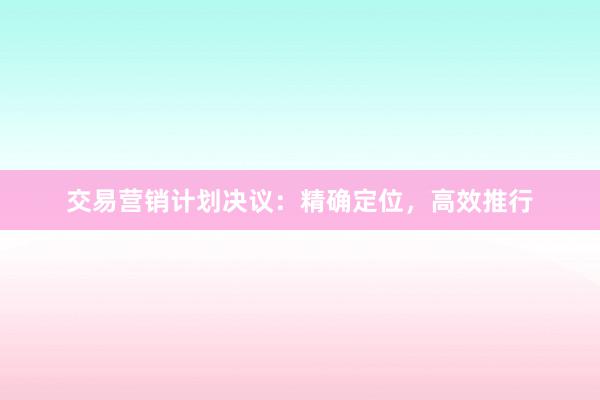 交易营销计划决议：精确定位，高效推行